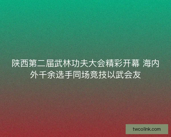 陕西第二届武林功夫大会精彩开幕 海内外千余选手同场竞技以武会友