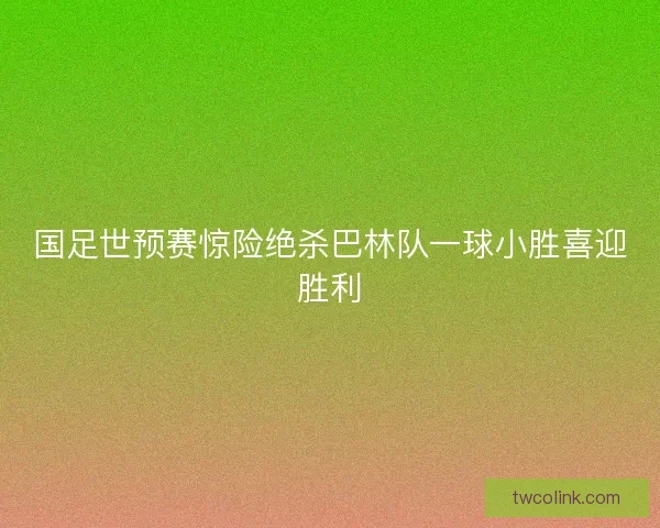 国足世预赛惊险绝杀巴林队一球小胜喜迎胜利